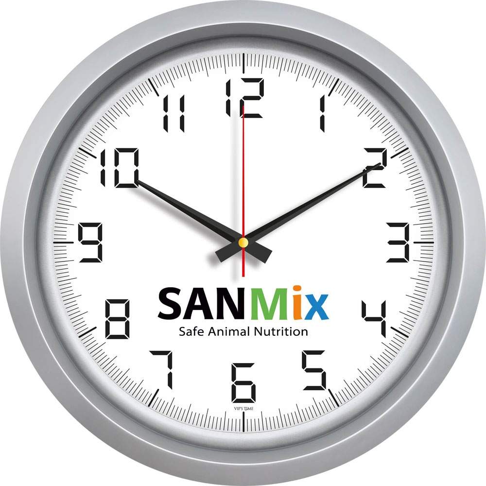 V30-551-G Plastik Duvar Saati