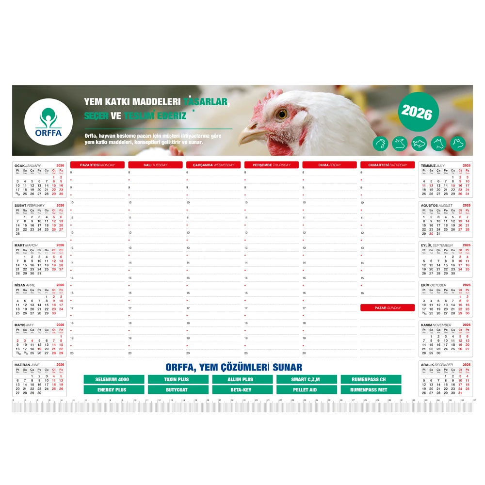 MS-20-32x12 Tarihsiz Masa Sümeni